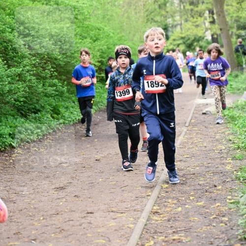 19.04.2026 - Hammer Lauf Dr. Thomas Lammeyer http://msf.ph/oto/9528175 19.04.2026 09:27:14 Laufen 1399, 1892, 1650 meine-sportfotos.de