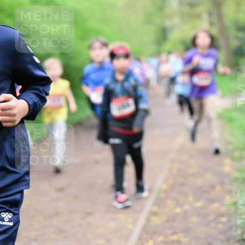 19.04.2026 - Hammer Lauf Dr. Thomas Lammeyer http://msf.ph/oto/9528190 19.04.2026 09:27:16 Laufen 1892 meine-sportfotos.de