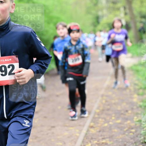 19.04.2026 - Hammer Lauf Dr. Thomas Lammeyer http://msf.ph/oto/9528192 19.04.2026 09:27:16 Laufen 1892 meine-sportfotos.de