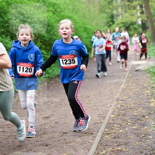 19.04.2026 - Hammer Lauf Dr. Thomas Lammeyer http://msf.ph/oto/9528244 19.04.2026 09:27:21 Laufen 185, 1120, 1235 meine-sportfotos.de