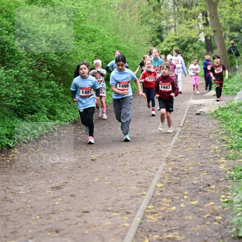 19.04.2026 - Hammer Lauf Dr. Thomas Lammeyer http://msf.ph/oto/9528256 19.04.2026 09:27:23 Laufen 1487, 1496, 771, 1447, 1248, 1416, 961 meine-sportfotos.de