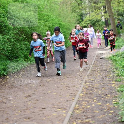 19.04.2026 - Hammer Lauf Dr. Thomas Lammeyer http://msf.ph/oto/9528261 19.04.2026 09:27:23 Laufen 1487, 1496, 177, 1447, 1547, 1416, 961 meine-sportfotos.de