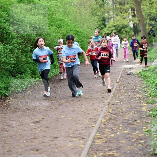 19.04.2026 - Hammer Lauf Dr. Thomas Lammeyer http://msf.ph/oto/9528263 19.04.2026 09:27:23 Laufen 187, 852, 547, 1248, 1416, 1771, 1447, 196, 961 meine-sportfotos.de