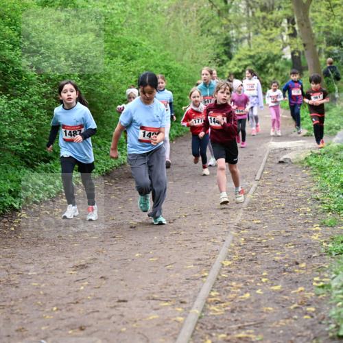 19.04.2026 - Hammer Lauf Dr. Thomas Lammeyer http://msf.ph/oto/9528266 19.04.2026 09:27:23 Laufen 1487, 547, 177, 144, 961 meine-sportfotos.de