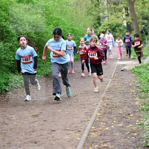 19.04.2026 - Hammer Lauf Dr. Thomas Lammeyer http://msf.ph/oto/9528267 19.04.2026 09:27:23 Laufen 1487, 1508, 1447, 1547, 961 meine-sportfotos.de