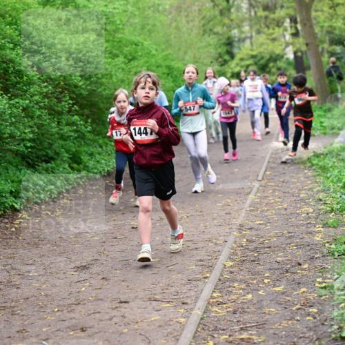 19.04.2026 - Hammer Lauf Dr. Thomas Lammeyer http://msf.ph/oto/9528278 19.04.2026 09:27:25 Laufen 17144, 547 meine-sportfotos.de
