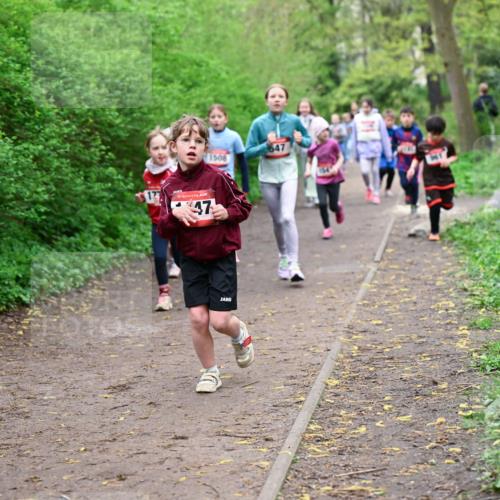 19.04.2026 - Hammer Lauf Dr. Thomas Lammeyer http://msf.ph/oto/9528280 19.04.2026 09:27:25 Laufen 1508, 647 meine-sportfotos.de
