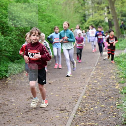 19.04.2026 - Hammer Lauf Dr. Thomas Lammeyer http://msf.ph/oto/9528284 19.04.2026 09:27:25 Laufen 144, 1500547 meine-sportfotos.de