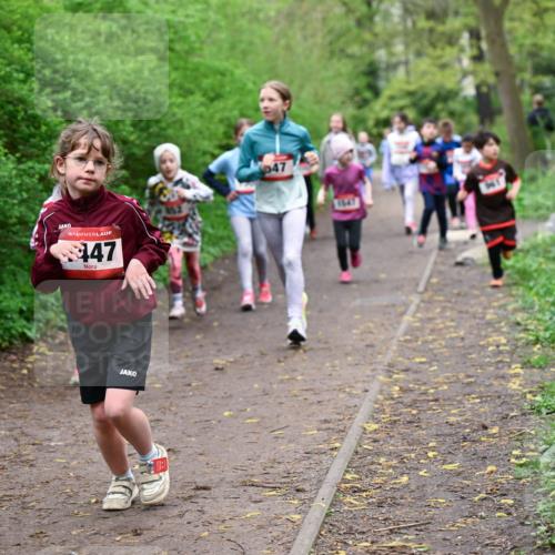 19.04.2026 - Hammer Lauf Dr. Thomas Lammeyer http://msf.ph/oto/9528287 19.04.2026 09:27:25 Laufen 447 meine-sportfotos.de