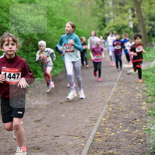 19.04.2026 - Hammer Lauf Dr. Thomas Lammeyer http://msf.ph/oto/9528290 19.04.2026 09:27:26 Laufen 447, 547 meine-sportfotos.de