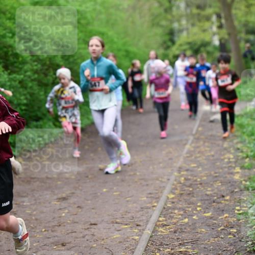 19.04.2026 - Hammer Lauf Dr. Thomas Lammeyer http://msf.ph/oto/9528293 19.04.2026 09:27:26 Laufen 1447 meine-sportfotos.de