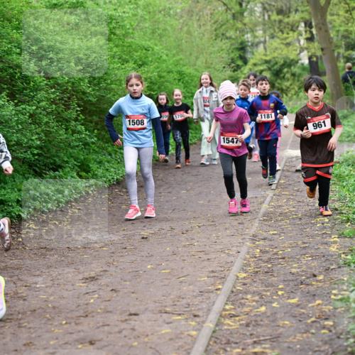 19.04.2026 - Hammer Lauf Dr. Thomas Lammeyer http://msf.ph/oto/9528300 19.04.2026 09:27:27 Laufen 541, 1508, 170, 1547, 124, 1181, 961 meine-sportfotos.de
