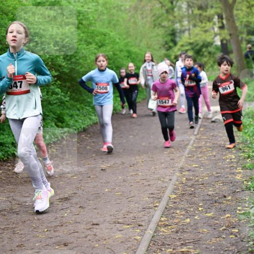 19.04.2026 - Hammer Lauf Dr. Thomas Lammeyer http://msf.ph/oto/9528304 19.04.2026 09:27:27 Laufen 1508, 1547, 961 meine-sportfotos.de