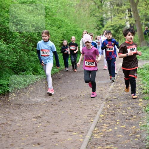 19.04.2026 - Hammer Lauf Dr. Thomas Lammeyer http://msf.ph/oto/9528309 19.04.2026 09:27:28 Laufen 1508, 1709, 1547, 1181, 961 meine-sportfotos.de