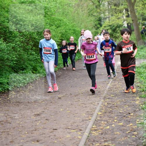 19.04.2026 - Hammer Lauf Dr. Thomas Lammeyer http://msf.ph/oto/9528311 19.04.2026 09:27:27 Laufen 824, 1709, 1508, 706, 1547, 1181 meine-sportfotos.de