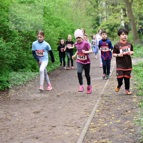 19.04.2026 - Hammer Lauf Dr. Thomas Lammeyer http://msf.ph/oto/9528314 19.04.2026 09:27:28 Laufen 1508, 1709, 1547, 1181, 961 meine-sportfotos.de
