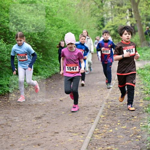19.04.2026 - Hammer Lauf Dr. Thomas Lammeyer http://msf.ph/oto/9528315 19.04.2026 09:27:28 Laufen 1508, 1547, 181, 961 meine-sportfotos.de