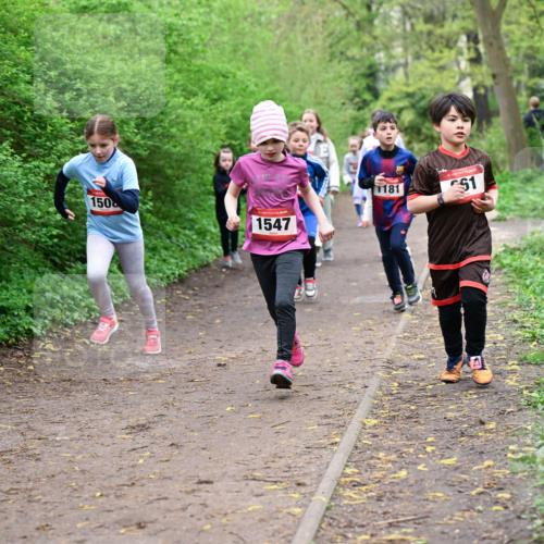 19.04.2026 - Hammer Lauf Dr. Thomas Lammeyer http://msf.ph/oto/9528317 19.04.2026 09:27:28 Laufen 150, 1547, 1181 meine-sportfotos.de