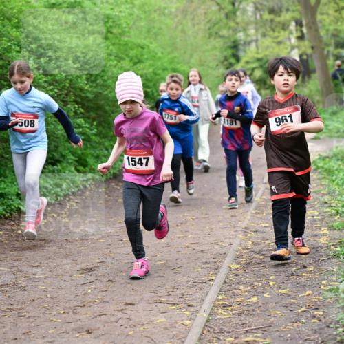 19.04.2026 - Hammer Lauf Dr. Thomas Lammeyer http://msf.ph/oto/9528320 19.04.2026 09:27:28 Laufen 508, 1751, 1547, 1181, 961 meine-sportfotos.de