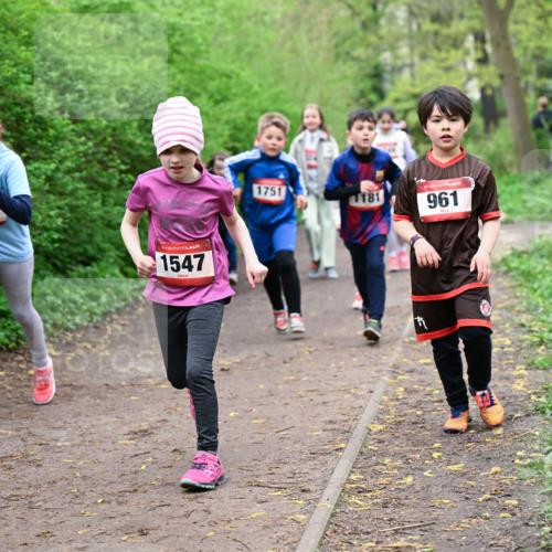 19.04.2026 - Hammer Lauf Dr. Thomas Lammeyer http://msf.ph/oto/9528322 19.04.2026 09:27:29 Laufen 1508, 1547, 1751, 1181, 961 meine-sportfotos.de