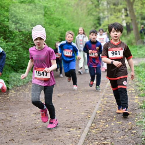 19.04.2026 - Hammer Lauf Dr. Thomas Lammeyer http://msf.ph/oto/9528325 19.04.2026 09:27:29 Laufen 1508, 1547, 1751, 961 meine-sportfotos.de