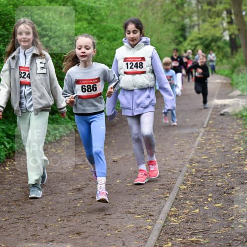 19.04.2026 - Hammer Lauf Dr. Thomas Lammeyer http://msf.ph/oto/9528372 19.04.2026 09:27:34 Laufen 1709, 824, 686, 1248 meine-sportfotos.de