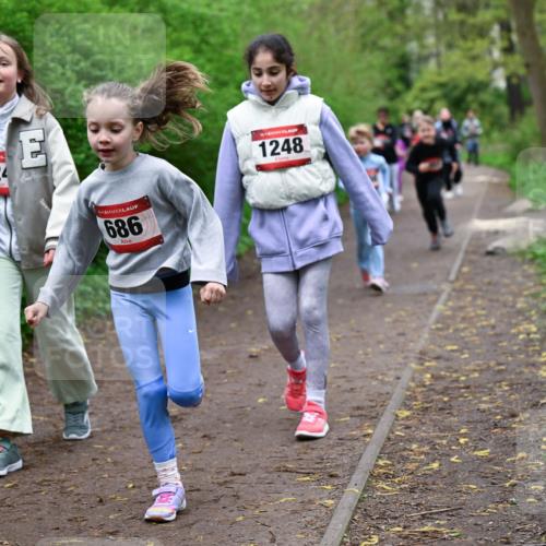 19.04.2026 - Hammer Lauf Dr. Thomas Lammeyer http://msf.ph/oto/9528374 19.04.2026 09:27:34 Laufen 824, 686, 1248 meine-sportfotos.de