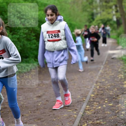 19.04.2026 - Hammer Lauf Dr. Thomas Lammeyer http://msf.ph/oto/9528380 19.04.2026 09:27:35 Laufen 686, 1248 meine-sportfotos.de