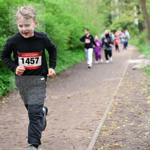 19.04.2026 - Hammer Lauf Dr. Thomas Lammeyer http://msf.ph/oto/9528409 19.04.2026 09:27:38 Laufen 1457 meine-sportfotos.de