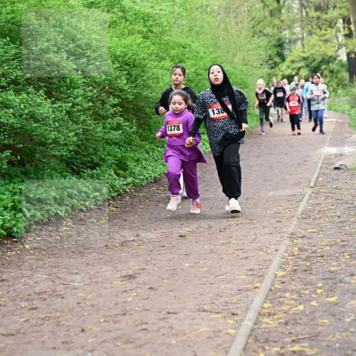 19.04.2026 - Hammer Lauf Dr. Thomas Lammeyer http://msf.ph/oto/9528439 19.04.2026 09:27:41 Laufen 1378, 138 meine-sportfotos.de