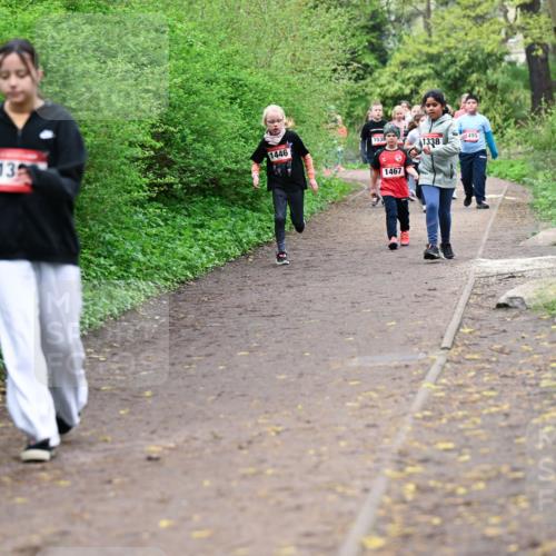 19.04.2026 - Hammer Lauf Dr. Thomas Lammeyer http://msf.ph/oto/9528447 19.04.2026 09:27:43 Laufen 1446, 1536, 1338, 1467, 495 meine-sportfotos.de