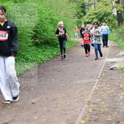 19.04.2026 - Hammer Lauf Dr. Thomas Lammeyer http://msf.ph/oto/9528449 19.04.2026 09:27:43 Laufen 1368, 1446, 153, 1467, 1338, 1495 meine-sportfotos.de
