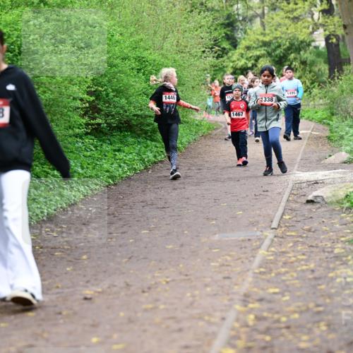 19.04.2026 - Hammer Lauf Dr. Thomas Lammeyer http://msf.ph/oto/9528450 19.04.2026 09:27:43 Laufen 1446, 1368, 1467, 338, 1495 meine-sportfotos.de