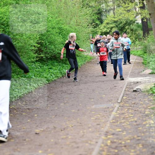 19.04.2026 - Hammer Lauf Dr. Thomas Lammeyer http://msf.ph/oto/9528453 19.04.2026 09:27:44 Laufen 1368, 1446, 1467, 495, 1338 meine-sportfotos.de