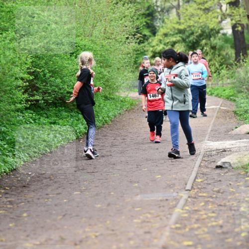 19.04.2026 - Hammer Lauf Dr. Thomas Lammeyer http://msf.ph/oto/9528458 19.04.2026 09:27:44 Laufen 1495, 1467 meine-sportfotos.de