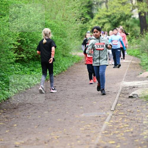 19.04.2026 - Hammer Lauf Dr. Thomas Lammeyer http://msf.ph/oto/9528463 19.04.2026 09:27:45 Laufen 146, 1338, 1495 meine-sportfotos.de