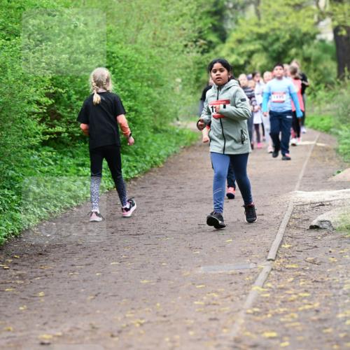 19.04.2026 - Hammer Lauf Dr. Thomas Lammeyer http://msf.ph/oto/9528466 19.04.2026 09:27:45 Laufen  meine-sportfotos.de