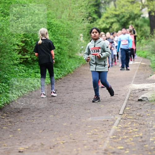 19.04.2026 - Hammer Lauf Dr. Thomas Lammeyer http://msf.ph/oto/9528468 19.04.2026 09:27:45 Laufen 1338 meine-sportfotos.de