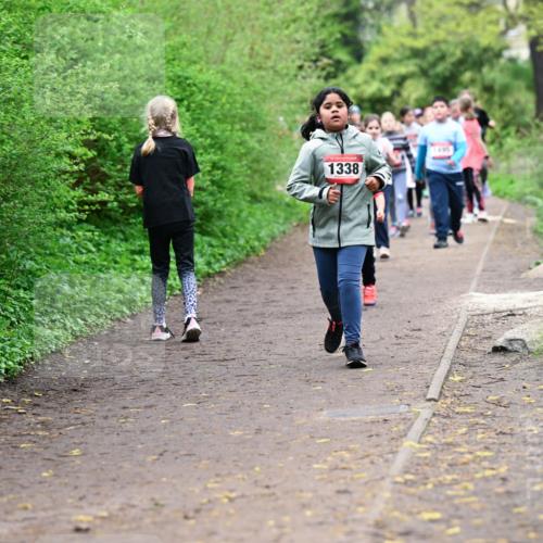 19.04.2026 - Hammer Lauf Dr. Thomas Lammeyer http://msf.ph/oto/9528471 19.04.2026 09:27:46 Laufen 1338 meine-sportfotos.de