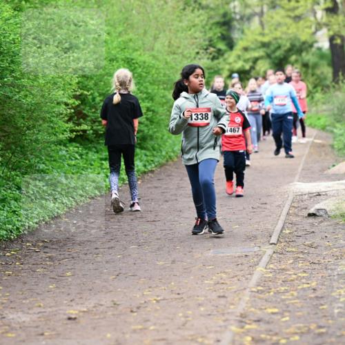 19.04.2026 - Hammer Lauf Dr. Thomas Lammeyer http://msf.ph/oto/9528477 19.04.2026 09:27:46 Laufen 338, 1467 meine-sportfotos.de