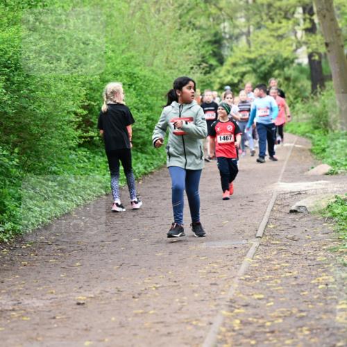 19.04.2026 - Hammer Lauf Dr. Thomas Lammeyer http://msf.ph/oto/9528479 19.04.2026 09:27:46 Laufen 1467 meine-sportfotos.de