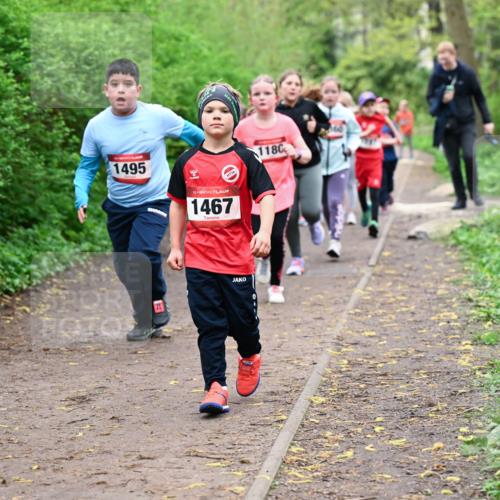 19.04.2026 - Hammer Lauf Dr. Thomas Lammeyer http://msf.ph/oto/9528508 19.04.2026 09:27:55 Laufen 1495, 1467, 1180 meine-sportfotos.de