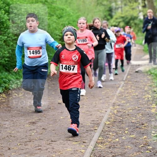19.04.2026 - Hammer Lauf Dr. Thomas Lammeyer http://msf.ph/oto/9528511 19.04.2026 09:27:56 Laufen 1495, 1467, 1180 meine-sportfotos.de