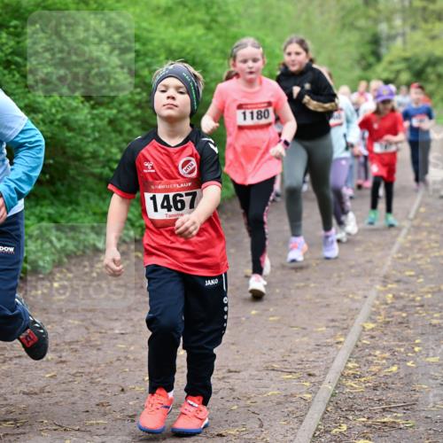 19.04.2026 - Hammer Lauf Dr. Thomas Lammeyer http://msf.ph/oto/9528518 19.04.2026 09:27:57 Laufen 1495, 1467, 1180 meine-sportfotos.de