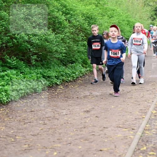 19.04.2026 - Hammer Lauf Dr. Thomas Lammeyer http://msf.ph/oto/9528553 19.04.2026 09:28:01 Laufen 1536, 1061, 1064, 851 meine-sportfotos.de