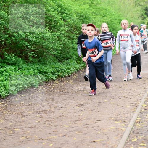 19.04.2026 - Hammer Lauf Dr. Thomas Lammeyer http://msf.ph/oto/9528555 19.04.2026 09:28:01 Laufen 1061, 365, 1064, 851 meine-sportfotos.de