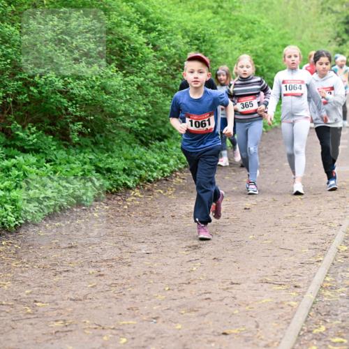 19.04.2026 - Hammer Lauf Dr. Thomas Lammeyer http://msf.ph/oto/9528556 19.04.2026 09:28:01 Laufen 1061, 365, 1064, 851 meine-sportfotos.de