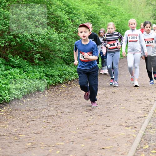 19.04.2026 - Hammer Lauf Dr. Thomas Lammeyer http://msf.ph/oto/9528559 19.04.2026 09:28:01 Laufen 1064, 365, 1653, 851 meine-sportfotos.de