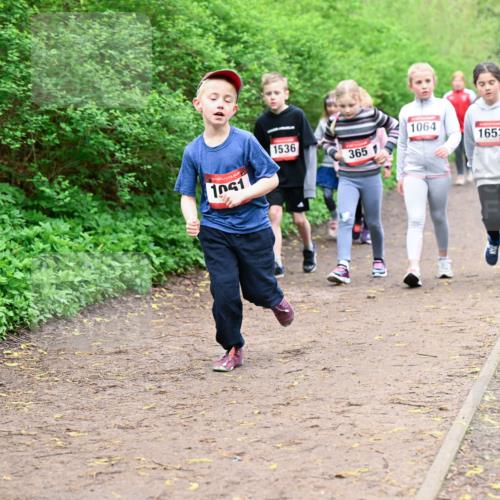 19.04.2026 - Hammer Lauf Dr. Thomas Lammeyer http://msf.ph/oto/9528562 19.04.2026 09:28:01 Laufen 1061, 1064, 1536, 1653, 365, 851 meine-sportfotos.de