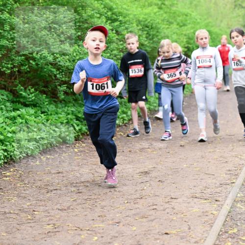 19.04.2026 - Hammer Lauf Dr. Thomas Lammeyer http://msf.ph/oto/9528564 19.04.2026 09:28:02 Laufen 1061, 1536, 1064, 365, 851 meine-sportfotos.de